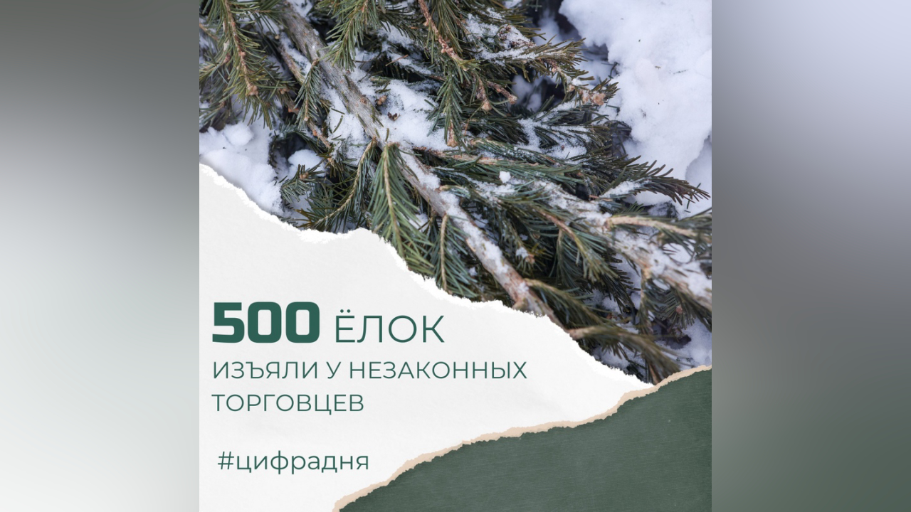 truesib.com Настоящая Сибирь