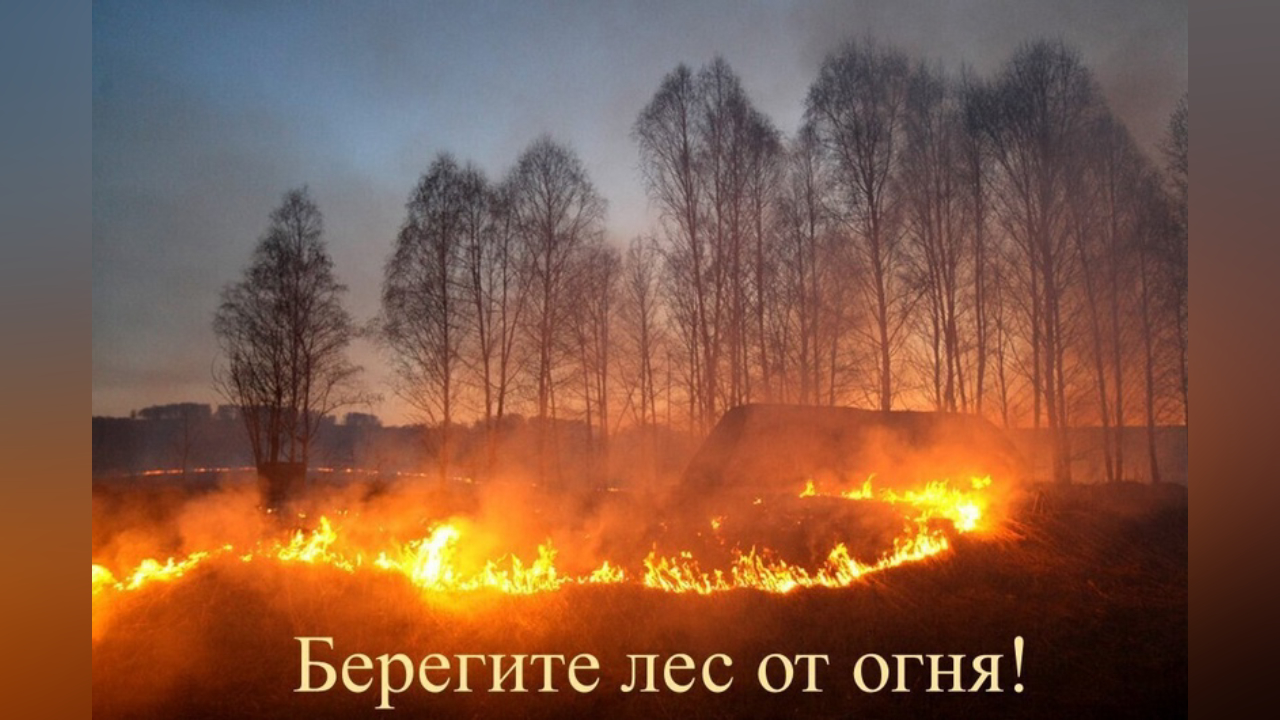 truesib.com Настоящая Сибирь