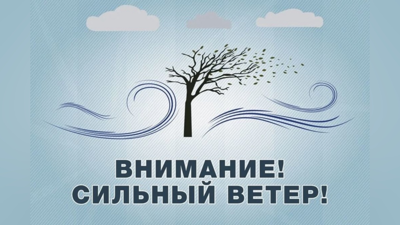truesib.com Настоящая Сибирь