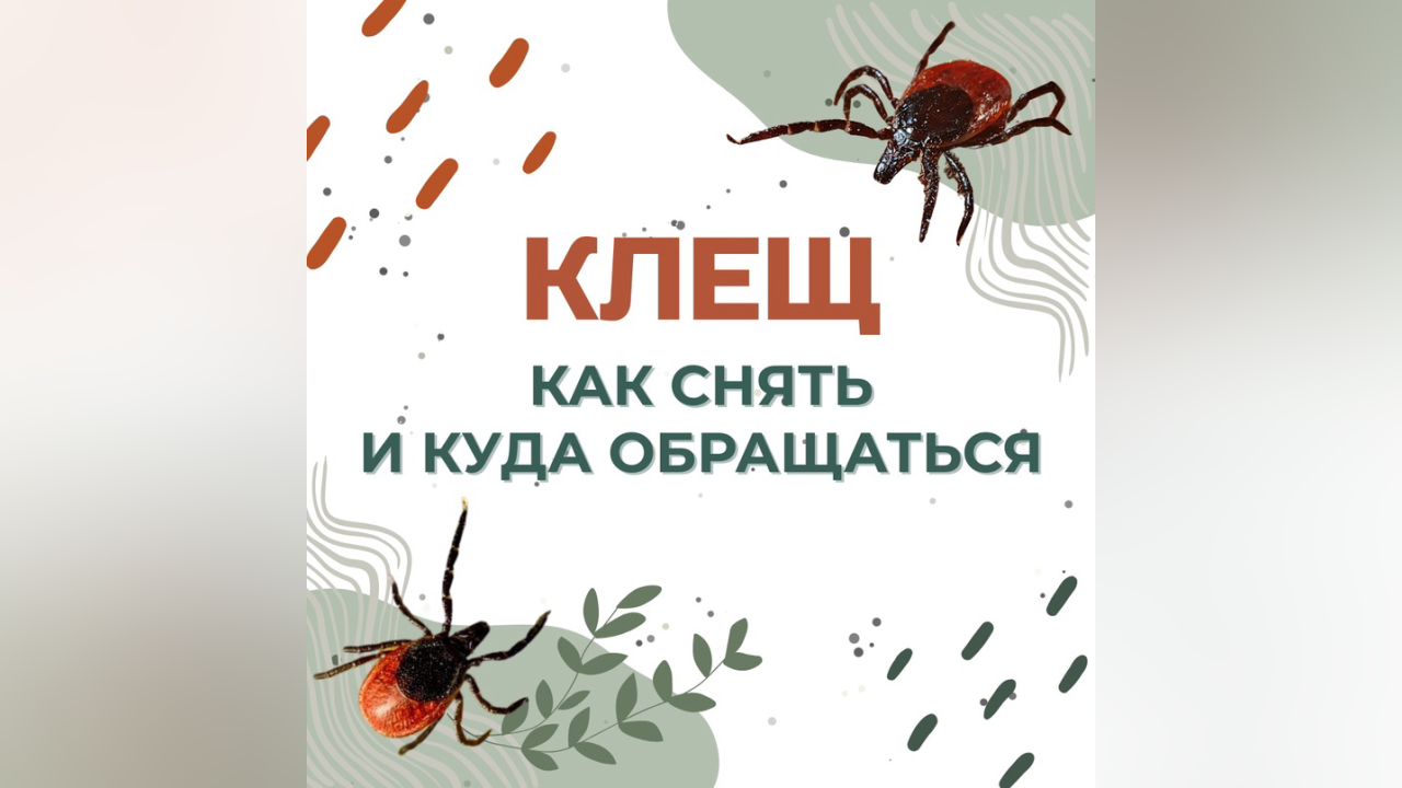 truesib.com Настоящая Сибирь