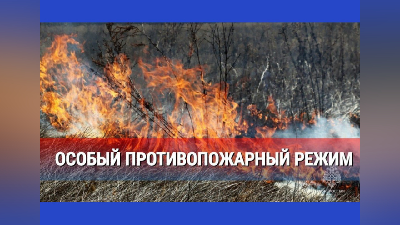 truesib.com Настоящая Сибирь