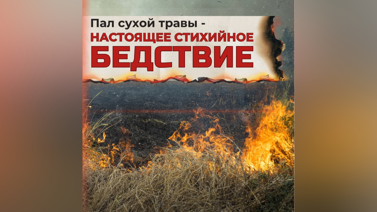 truesib.com Настоящая Сибирь