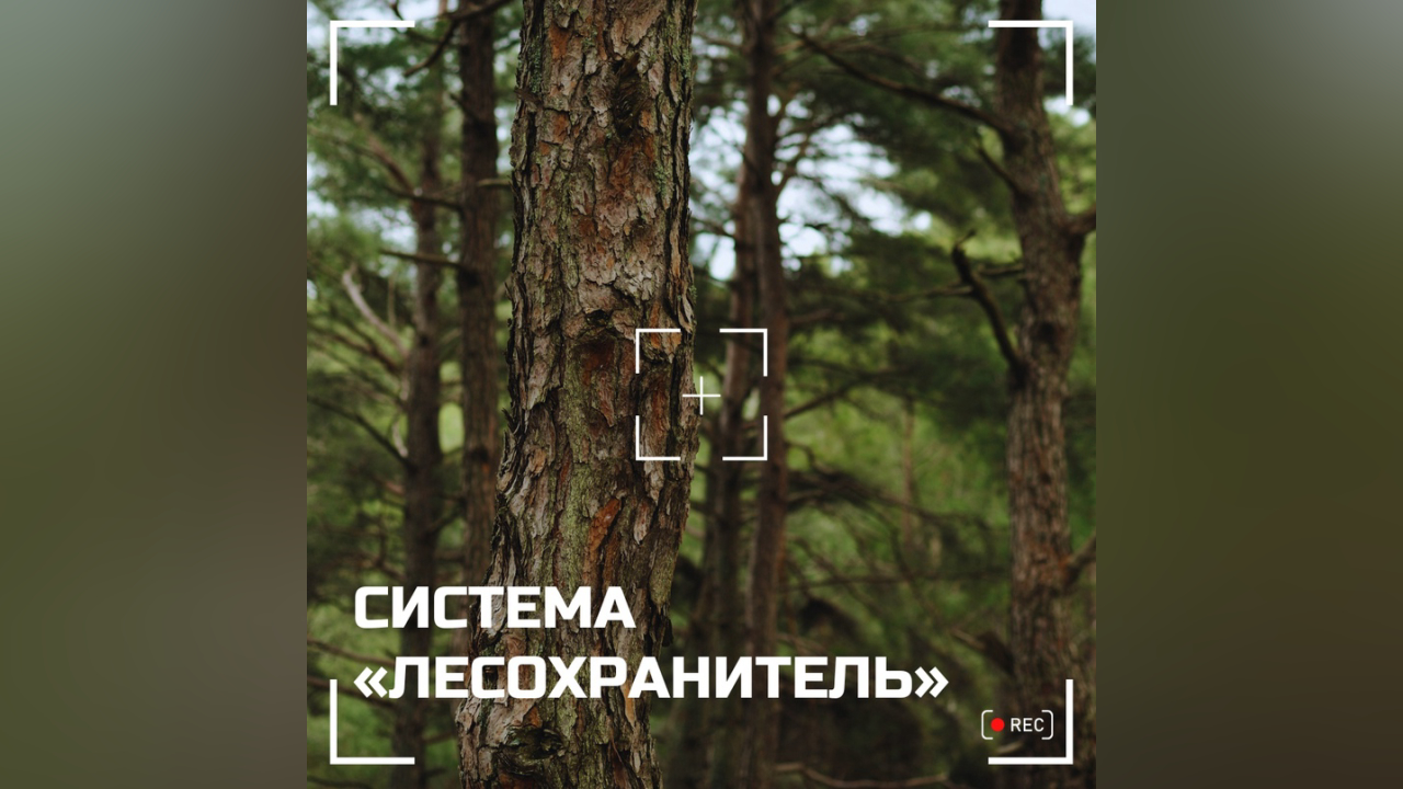 truesib.com Настоящая Сибирь