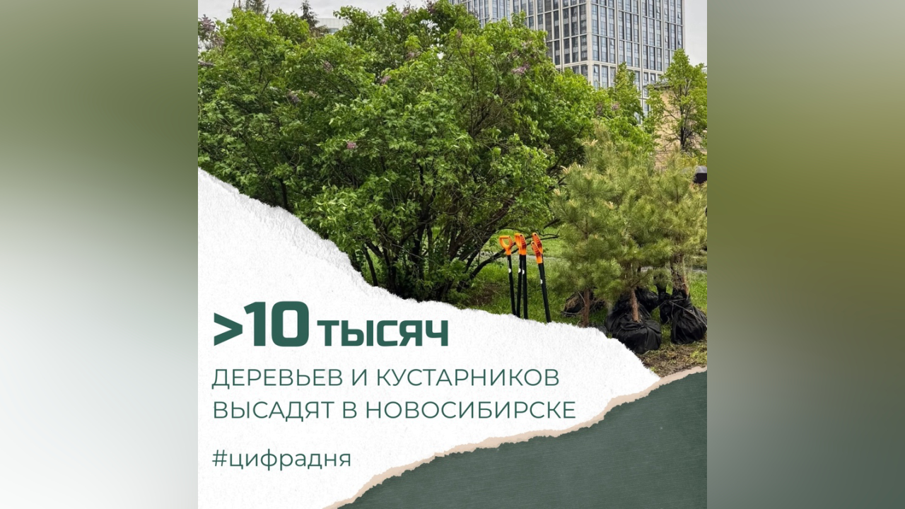 truesib.com Настоящая Сибирь