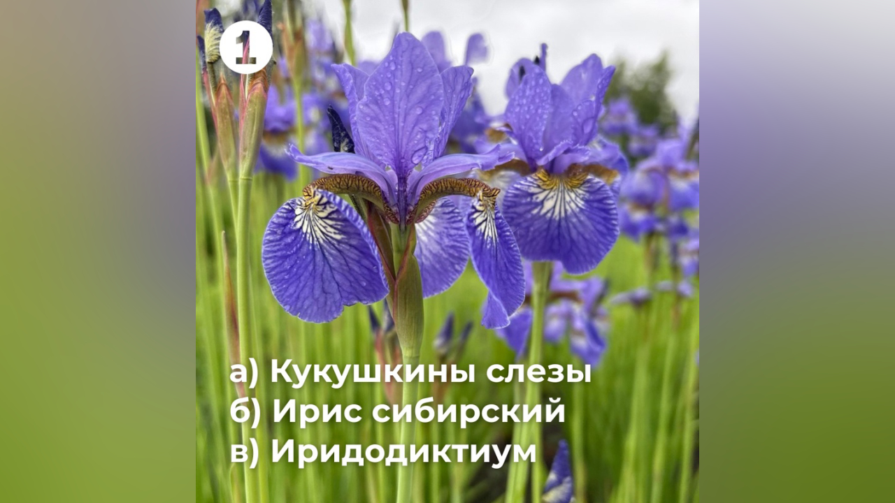 truesib.com Настоящая Сибирь